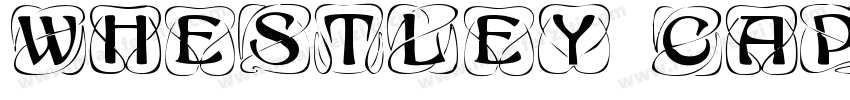 Whestley caps Regular字体转换